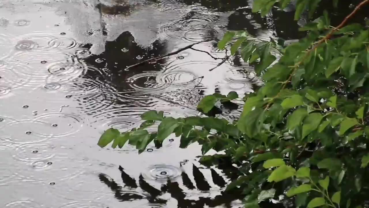 Barish k pani se ikaj