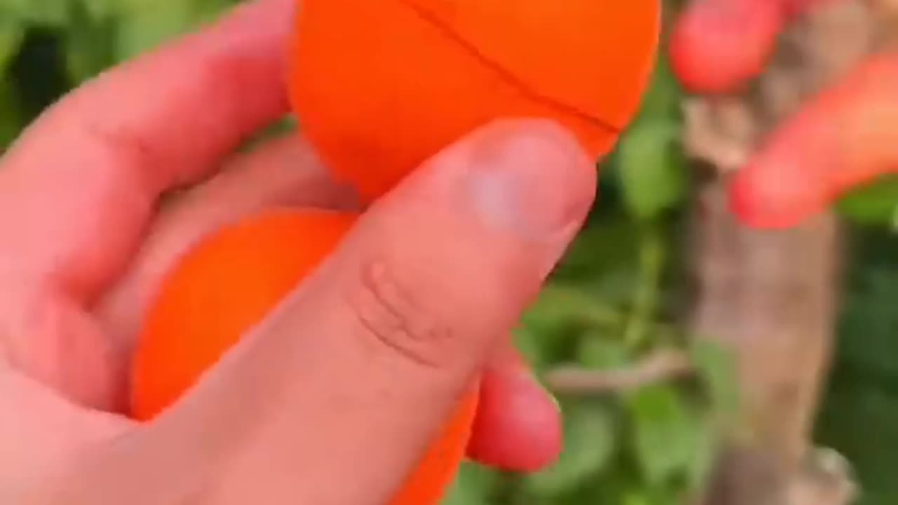 Satisfying natural video part 3