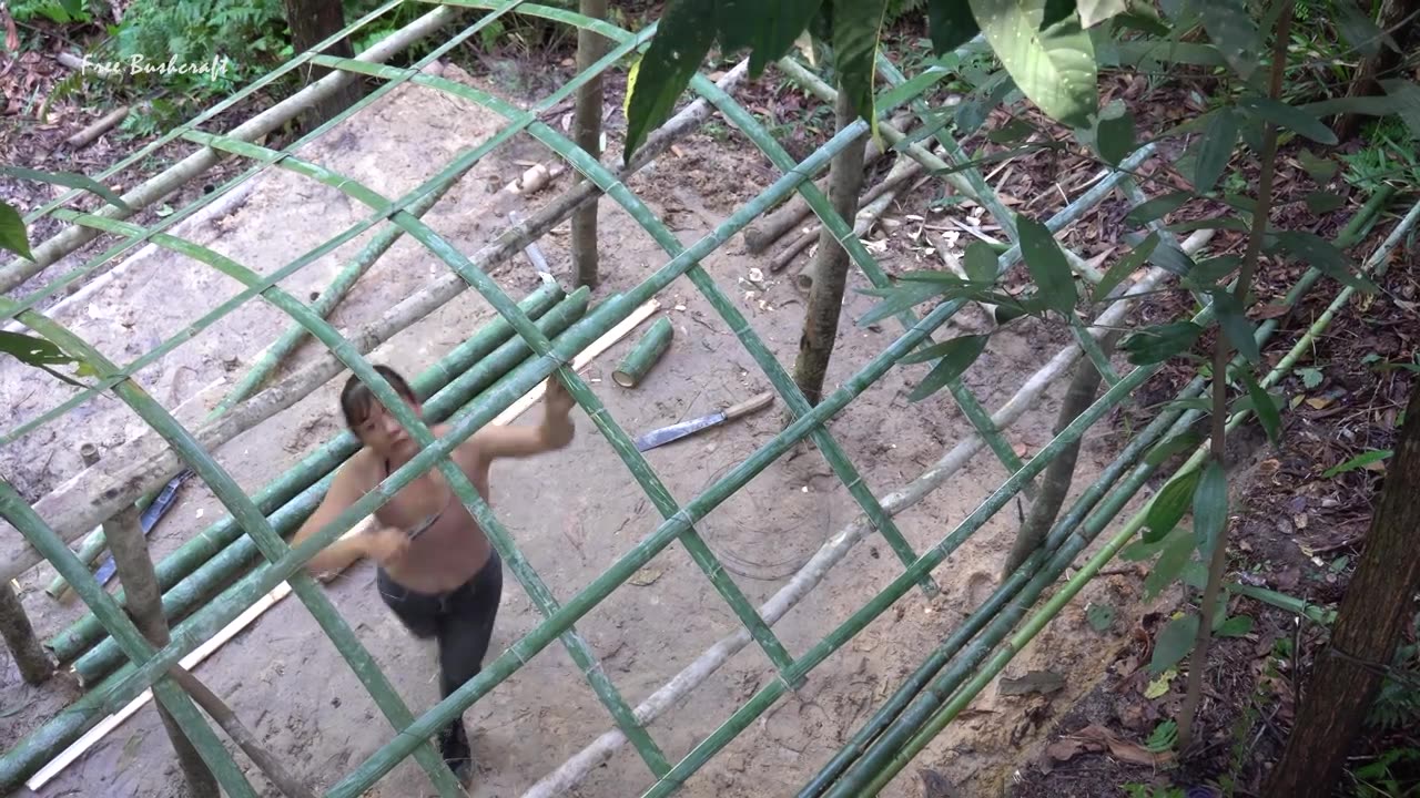 Free Bushcraft Camp in the Rainforest - Palm Leaf House, OFF GRID LIVING Ep.17
