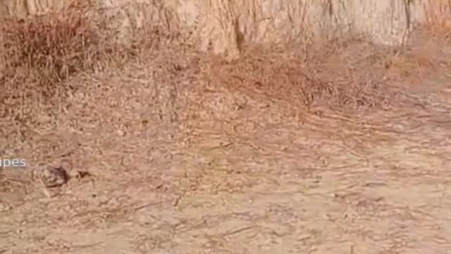 back flip gone wrong