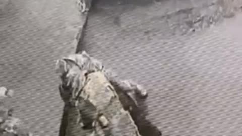 Russian Receives a Summons to the Side of the Head