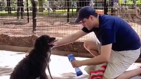 It's that fan_spray combo for us 💦 #dogs #shorts