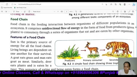 Ecosystem and types of ecosystem