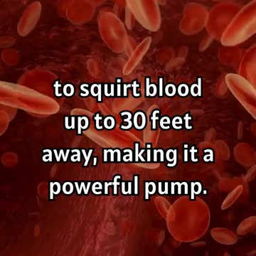 Power of the Human Heart