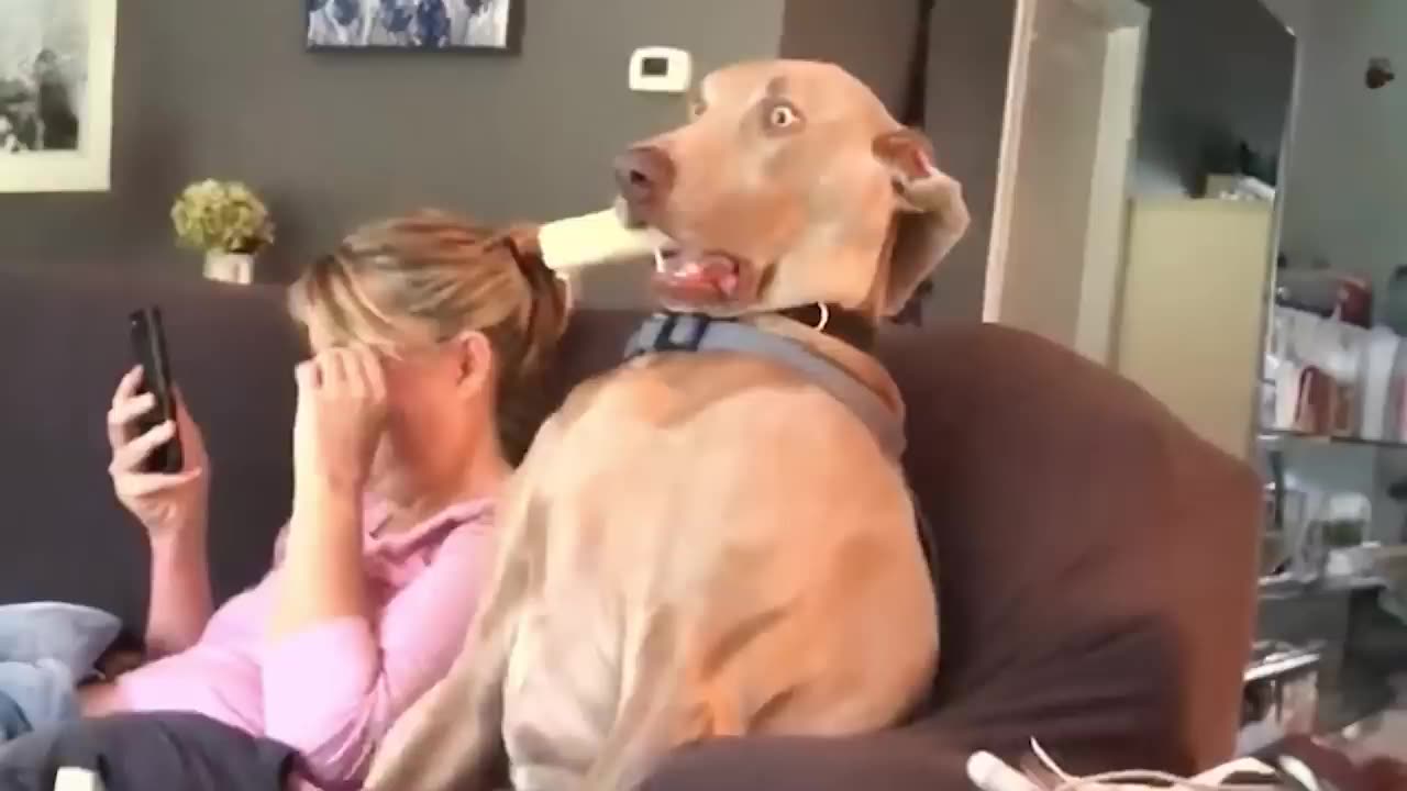 Cute and funny animals to love 😘💟😘😘❤️🔥💖💞