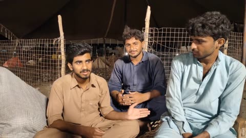 Pakistan Rawalpindi Eid Mandi Vlog