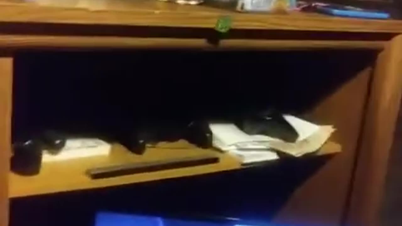 [Cyraxx Youtube 2020-8-11] Cyraxx Official - Studio tour