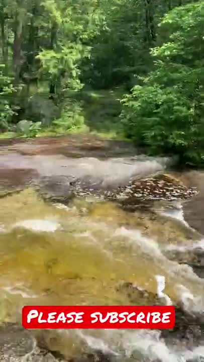 Go With The FLOW 🌊