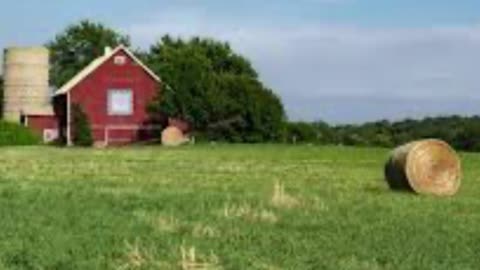 Small Farms Are Dying