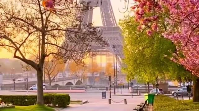 European life Paris comes to the Eiffel Tower in spring