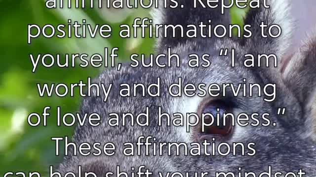 5 Steps to Manifest the Power of Positivity in Your Life