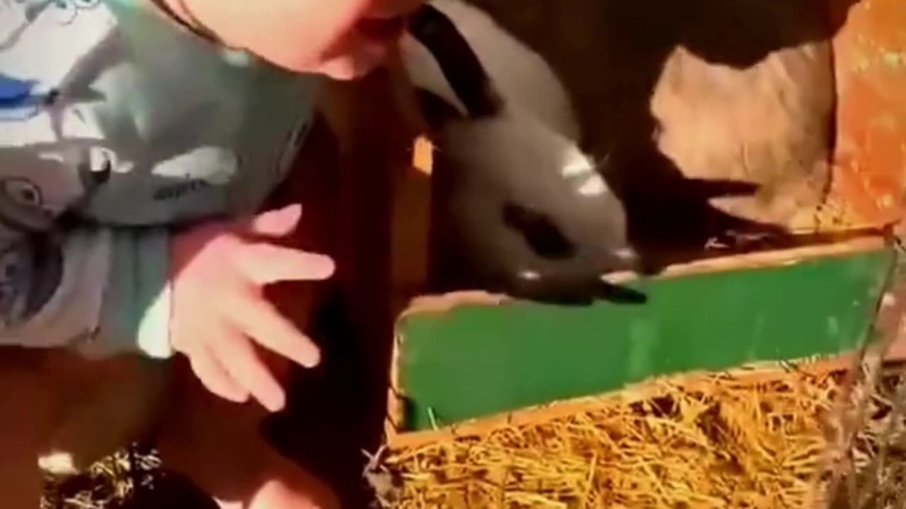 check this out funny baby.