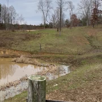 Malachi-Morgan-Spirit