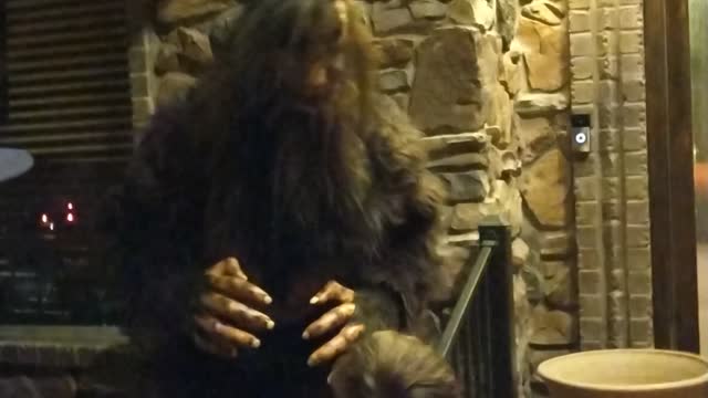 Bigfoot sighting giving out trick or treat candy