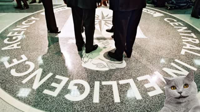 Google and Facebook Were Created by the CIA [The Truth Factory]