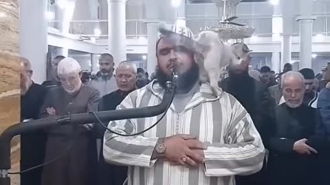 Cat enter the mosque and jumps on imam shoulder