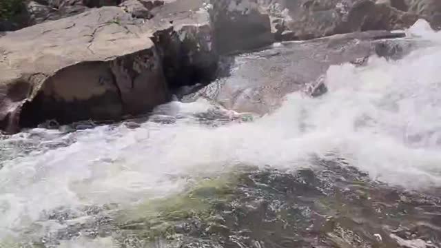 Boas vibrações da Chapada dos Veadeiros