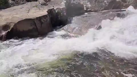 Boas vibrações da Chapada dos Veadeiros