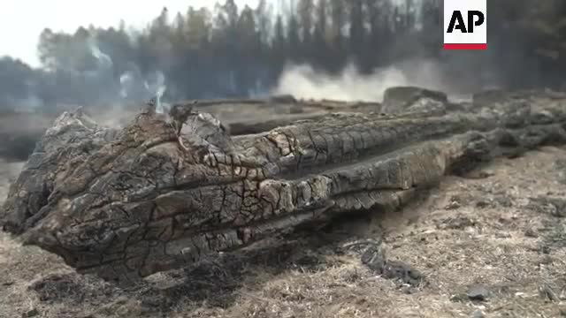 Wildfire continues ravaging parts of Argentina