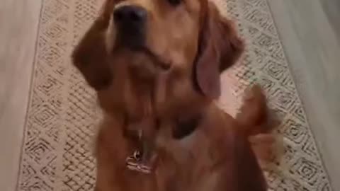 Riley's Best Day Ever - Riley Catches Snacks! Magic!