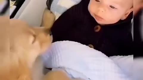 Dog loves baby 😻