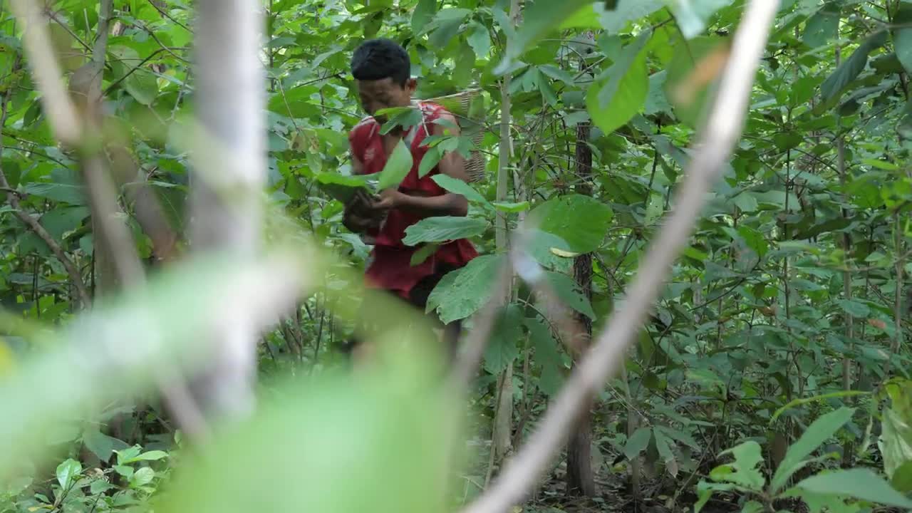 Shrimp eating in jungle, cooking on a rock | Primitive Wildlife-6