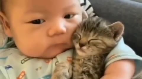 cut baby with cat