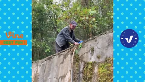 FUNNY VIDEOS CAUGHT ON CAMERA