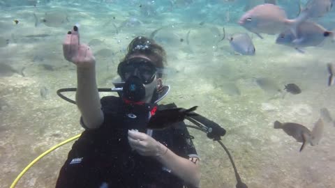 Woman Feeding the Fishes under the Sea