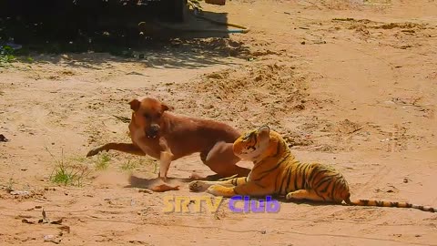 : "Unbelievable Fake Tiger Prank on Dog - Must See Reaction!"