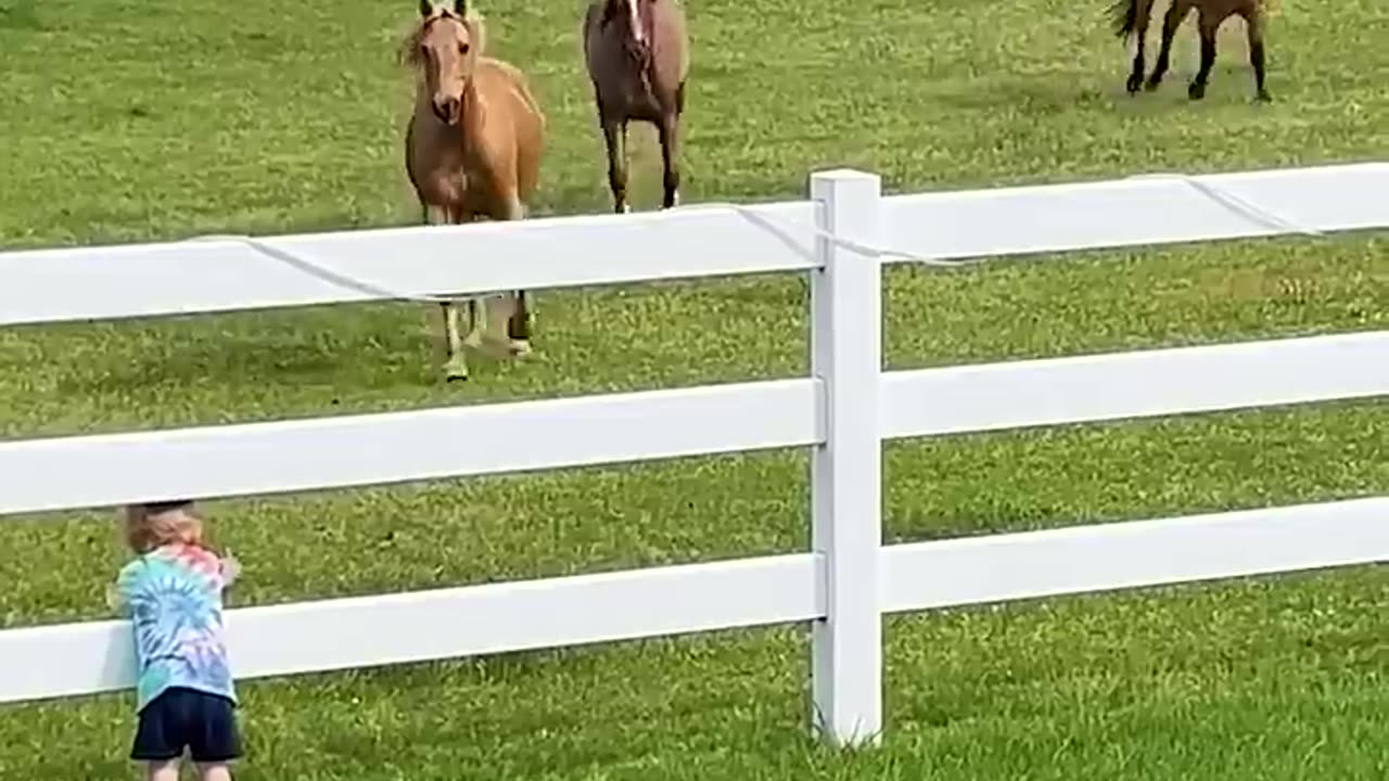 All hail king of the horses! 🐴