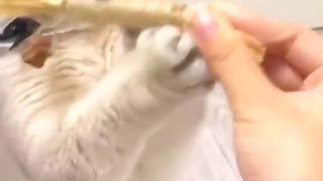so cute!