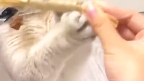 so cute！