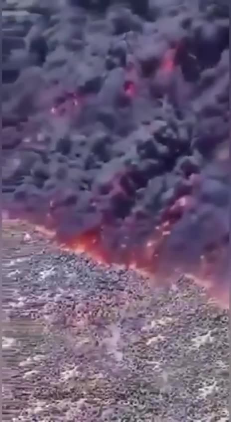 This is The World's largest Tire Graveyard in Kuwait - And they're worried about CO2!