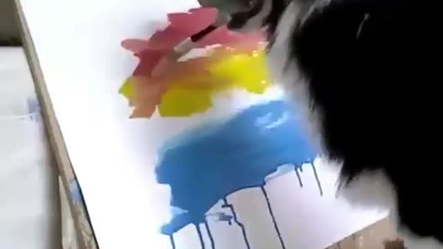 Talented dog knows how to paint. It is amazing.