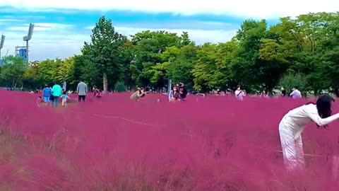 Beautiful scenery. Come and have a look