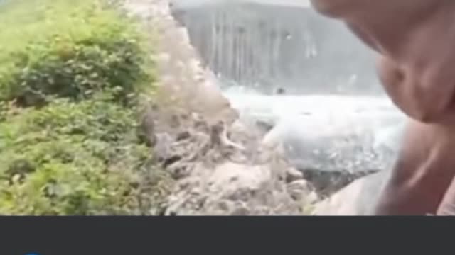 हिप्पो को थप्पड़ मारा गार्ड