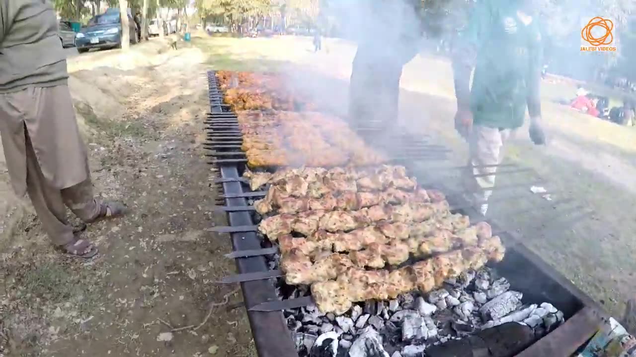 Wild Life Safari Park Lahore | Live Bar B Q | Picnic Party