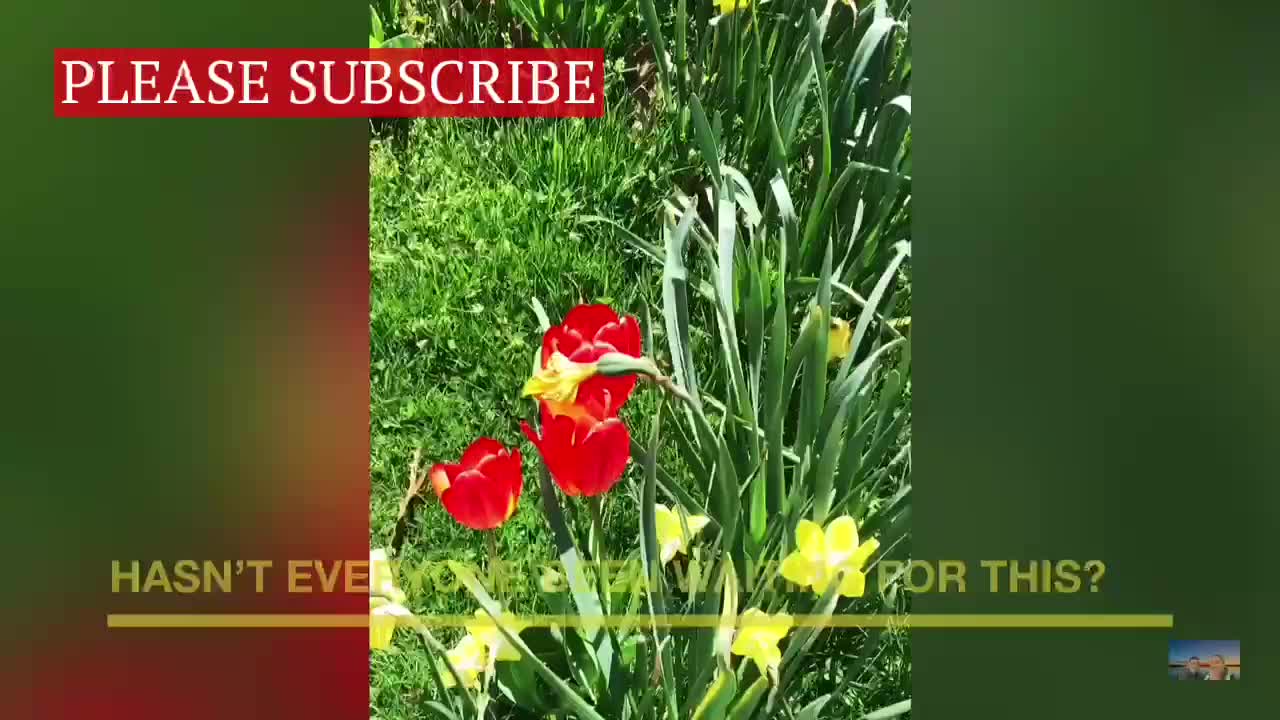 FINALLY BLOOMING