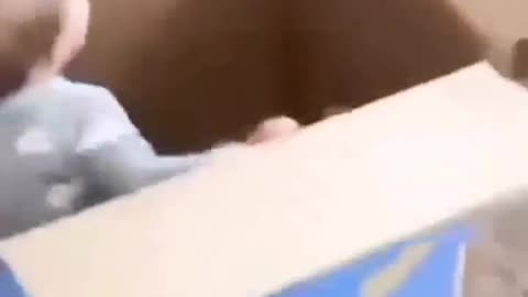 Dog cradling baby #shorts #viral #shortsvideo#video