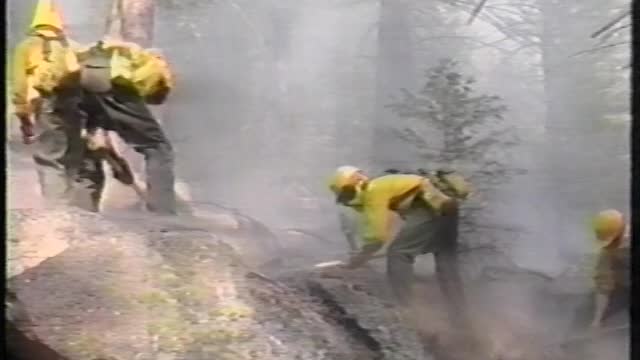 1988 Yellowstone National Park Fires - Yellowstone National Park