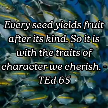 ELLEN G WHITE QUOTES