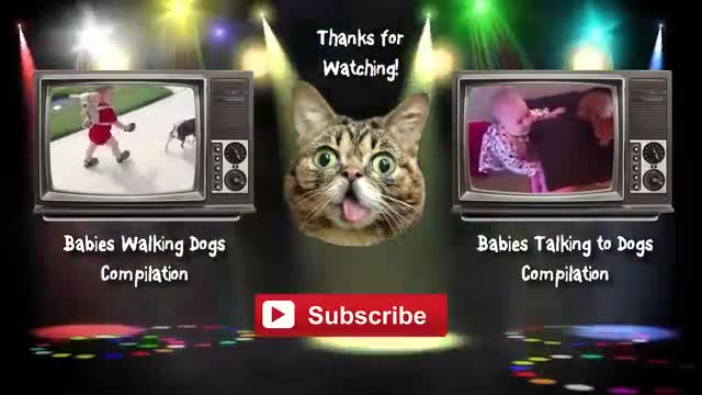Funny babies and animals best video