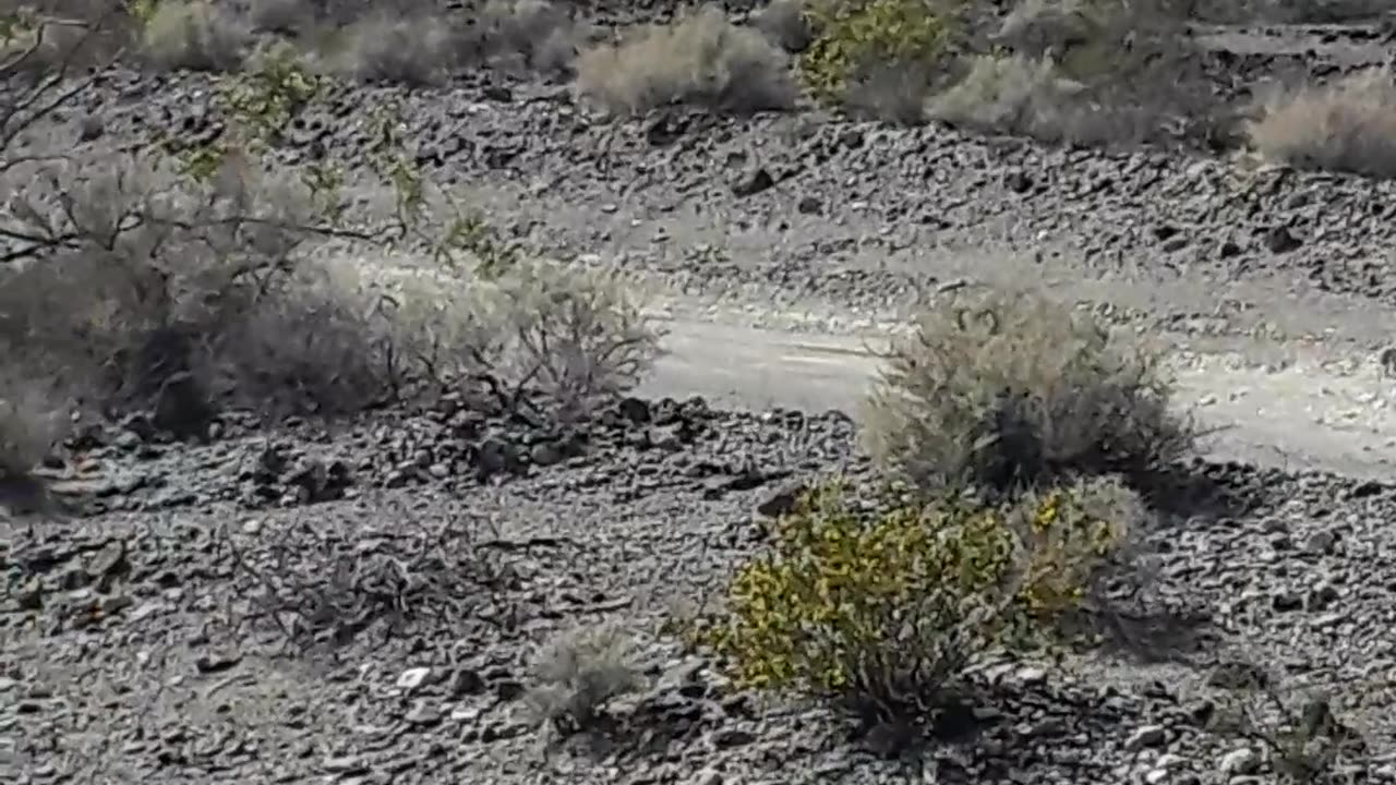 Wild West, wild horses but also devastating accident. Death Valley, CA