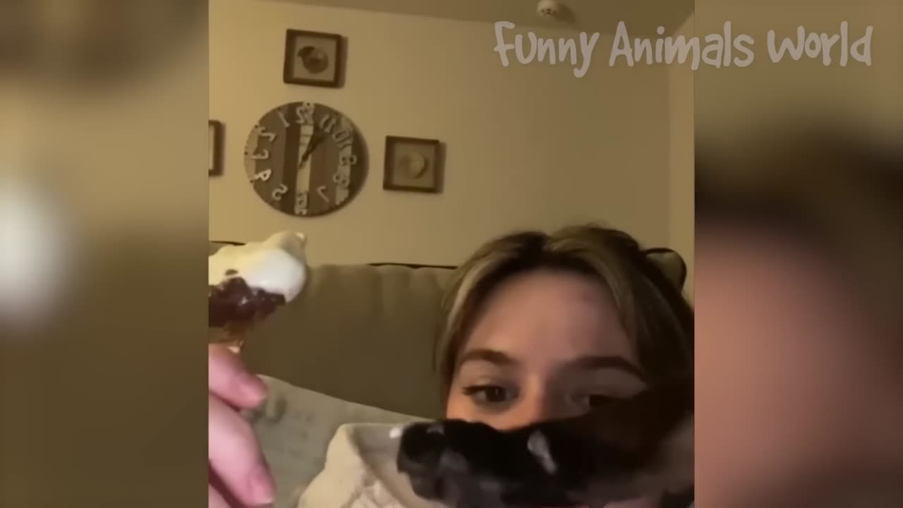 The BEST Of 2023 Fun Animals