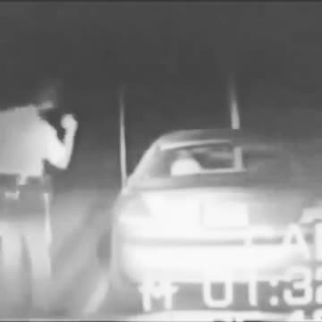 WTF - This Weeks - What The Hell Is This