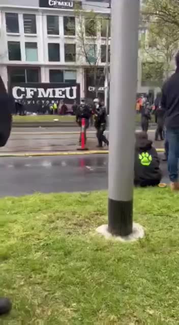 Vaccines-Nazis lose against a single unarmed man!