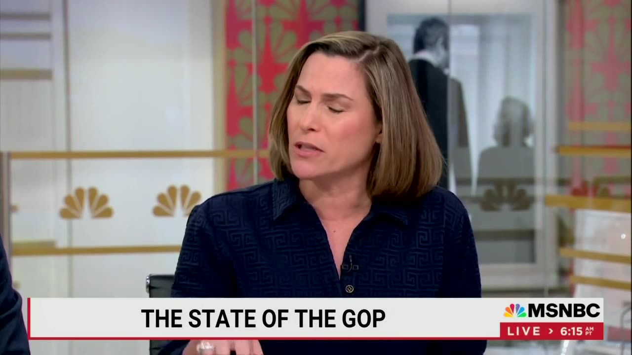 MSNBC Analyst Calls On Law Enforcement To Attack GOP Over Gun Control