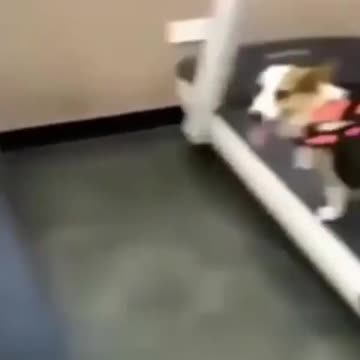 Напиши в комментариях кто ты в спортзале