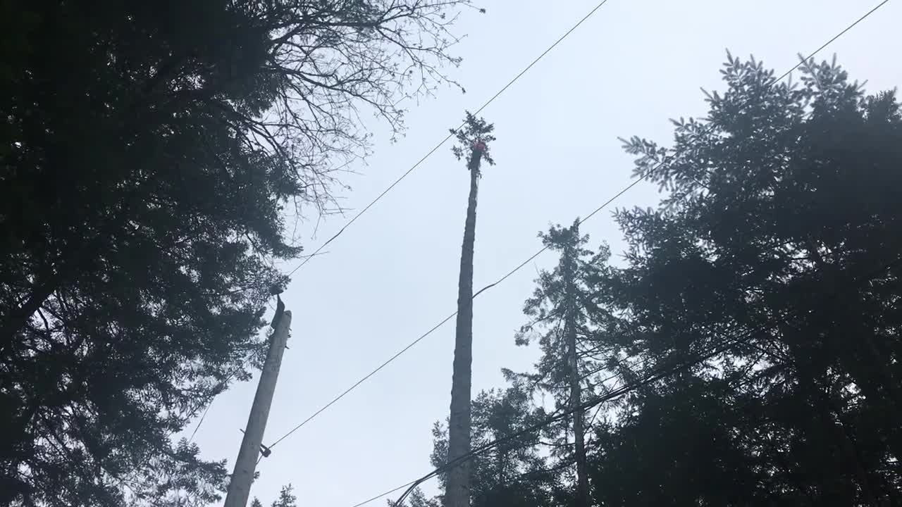 Small top three times the power line height double flip